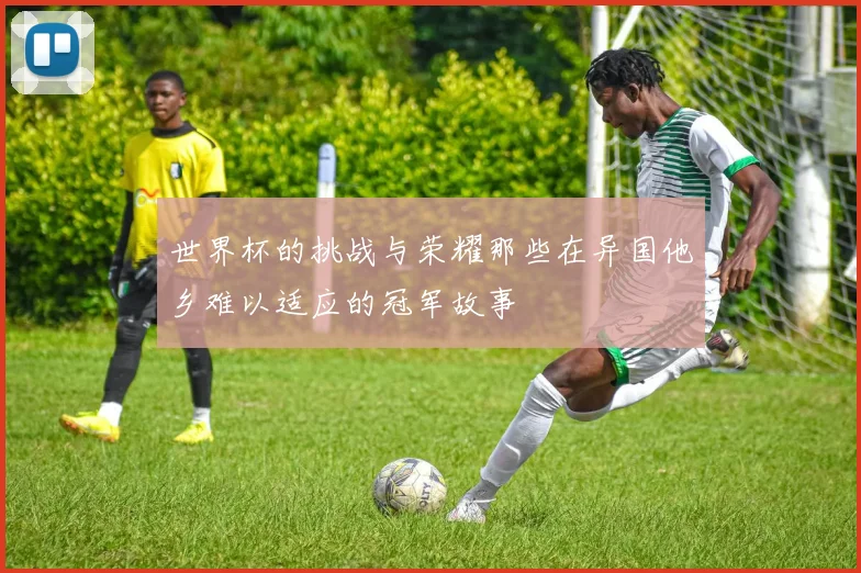世界杯的挑战与荣耀那些在异国他乡难以适应的冠军故事