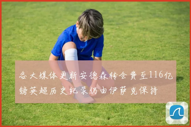 各大媒体更新安德森转会费至116亿镑英超历史纪录仍由伊萨克保持