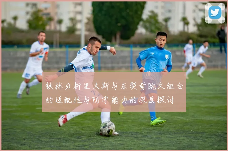 铁林分析里夫斯与东契奇欧文组合的适配性与防守能力的深度探讨